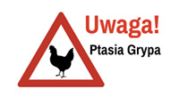 Ptasia grypa